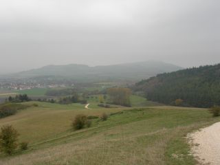 Am Hohentwiel bei Singen im Hegau