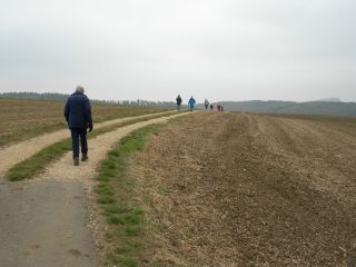 Zurück zum Hohenkrähen