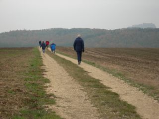 Zurück zum Hohenkrähen