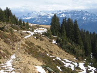 Den Schnee musste man schon suchen