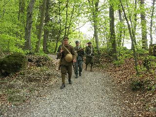 Unterwegs im Wald