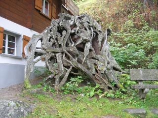Wurzelstock