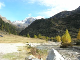 Im Binntal Blick nach Osten