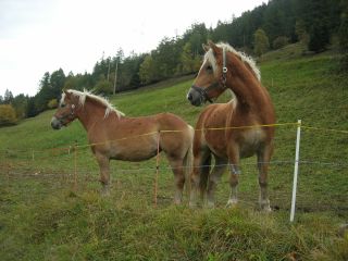Wer schaut hier wen an?
