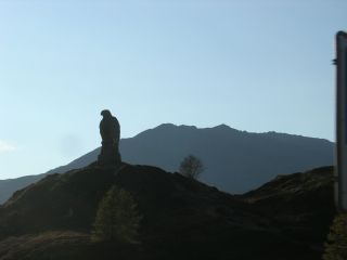 Adler auf dem Simplon