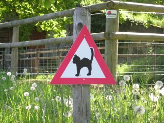 Hinweisschild (nicht: Gefahrenschild)
