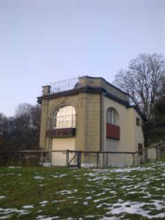 Liebeslaube?