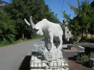 Ein Stein-Bock