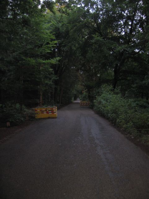 Vorne weg beim Start