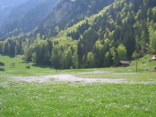 Blumensee
