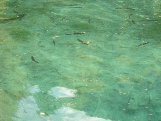 Blausee