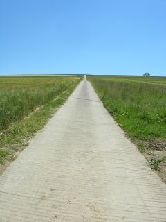 Blick zurück