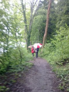 Im Regen am Reussufer