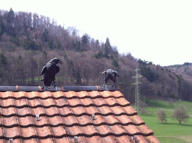 Wetterfeste Vögel